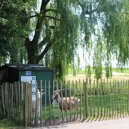 In Zevenhuizen With Sauna 別荘