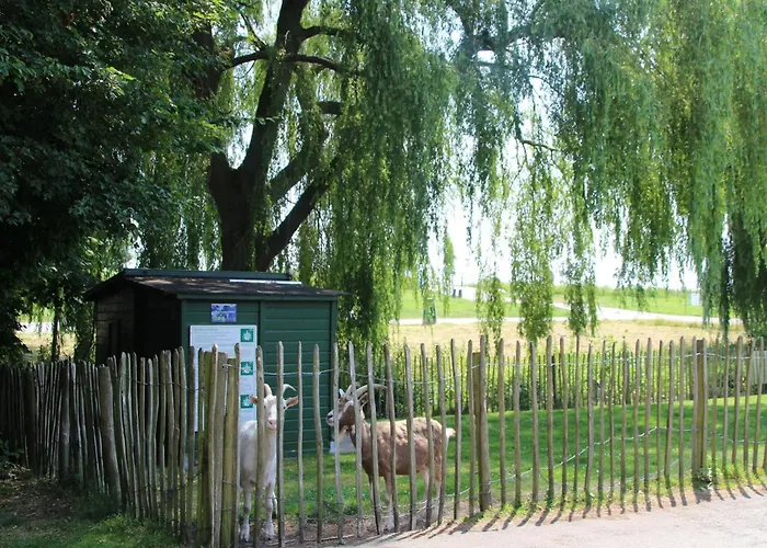 In Zevenhuizen With Sauna Tatil Evi